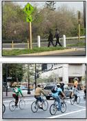 Bike and Ped Safety