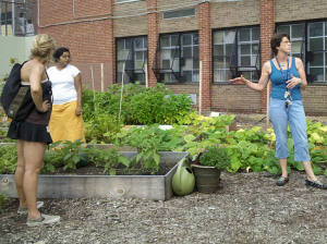 Montessori School Garden