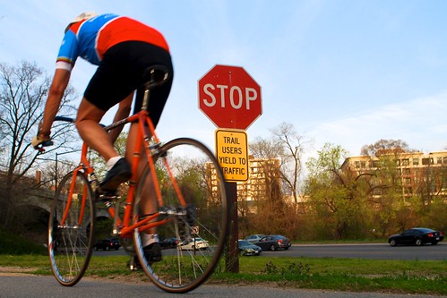 Stop, Yield; Whatever